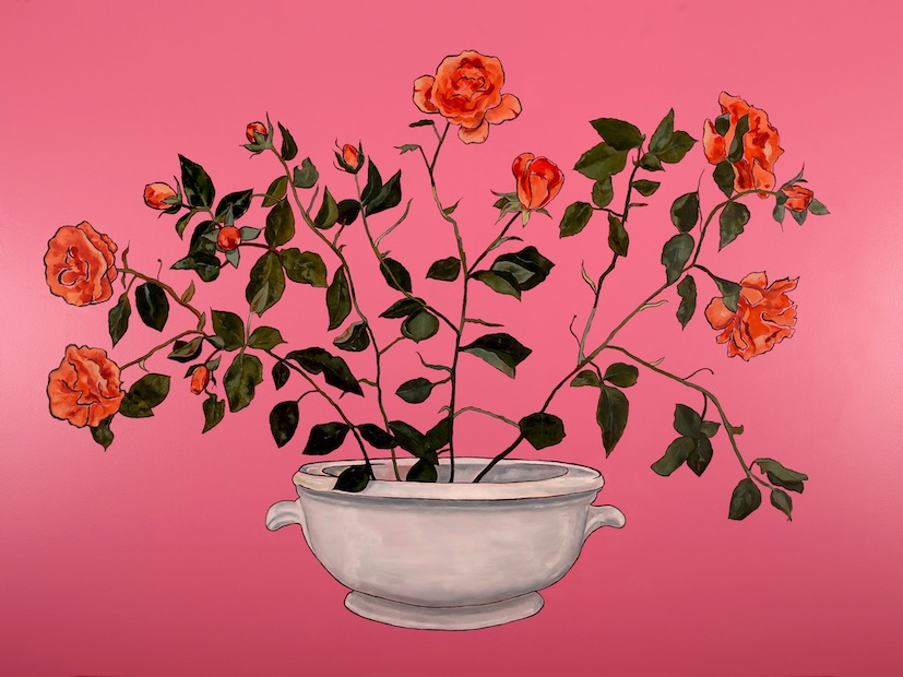 Kim Hennessy | Pink Roses| McAtamney Gallery and Design Store | Geraldine NZ